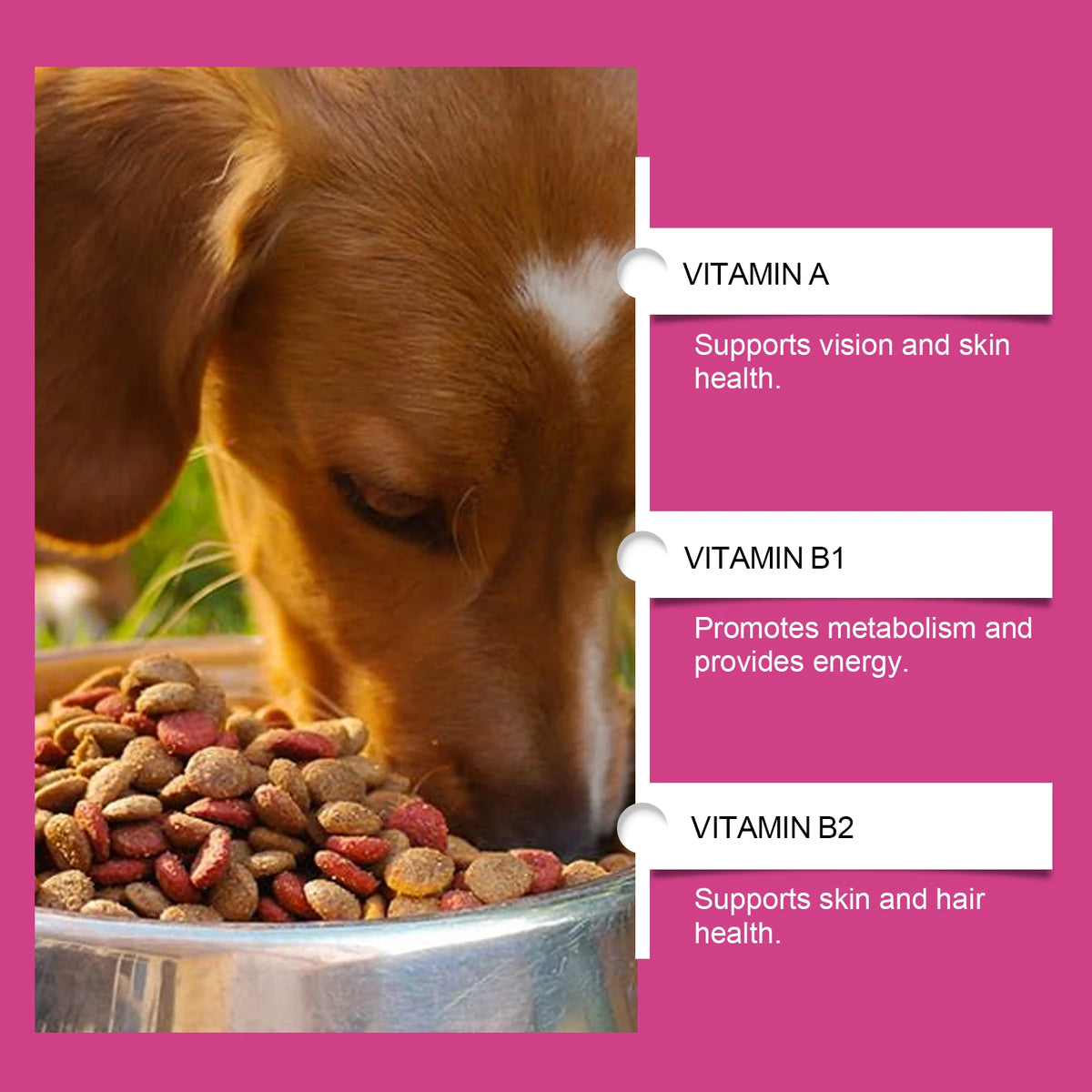 Pet Probiotic Chewable Tablets for Dogs Digestive Health Gut Flora Immune Support Diarrhea Relief Prebiotics Digestive Enzymes Chicken Flavor Daily Supplement for Puppy Sensitive Stomach Safe Natural Effective