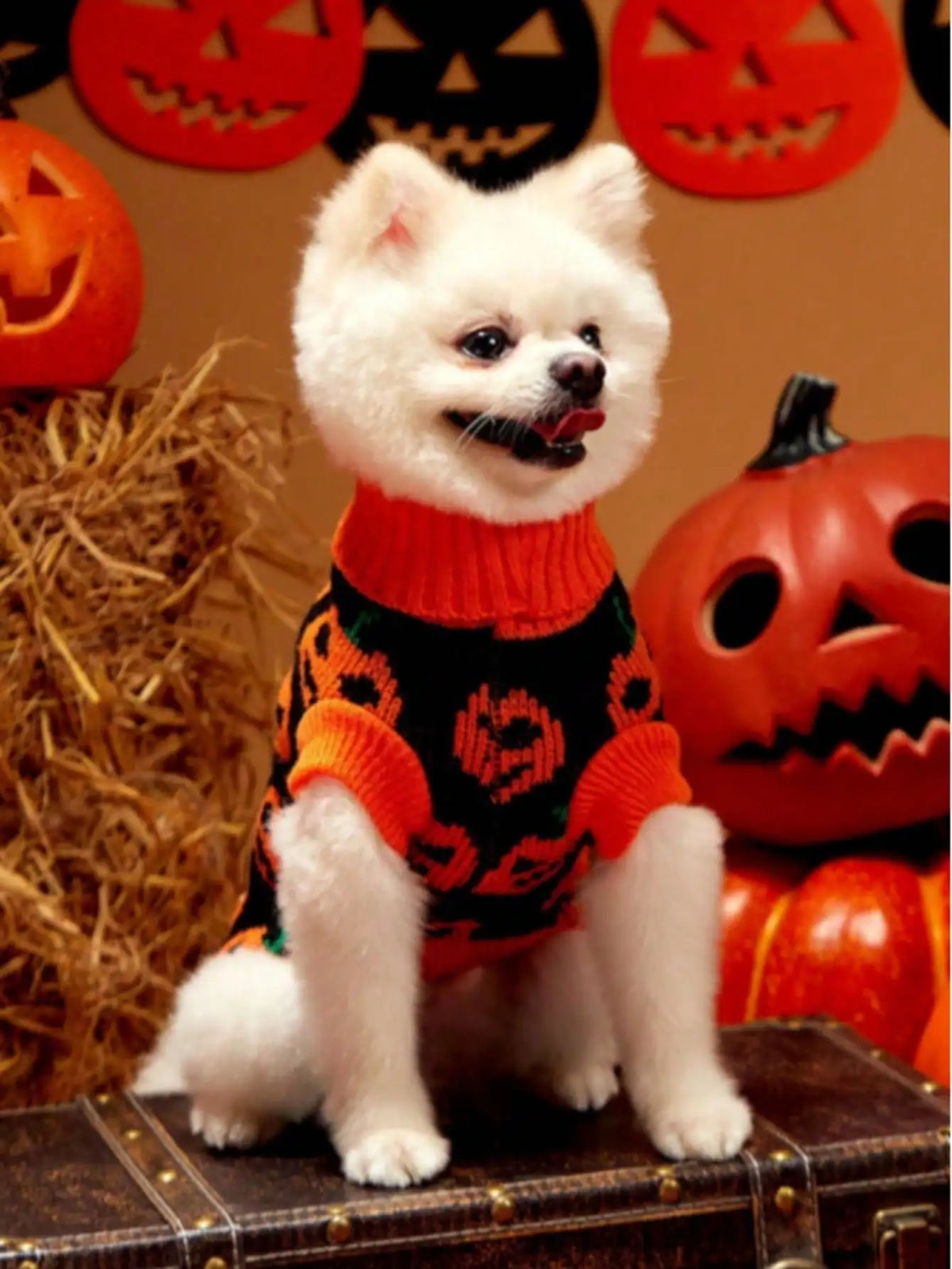 Pumpkin Face Printed 1 piece Sweater for Small And Medium Sized Dogs Halloween Ghost Festival Color Blocked Warm Knitted Sweater Pet Clothing
