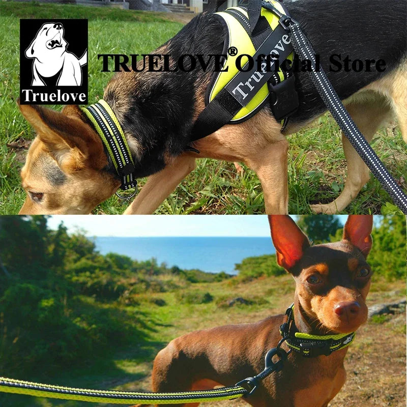 Pet Dog Collar Nylon Adjustable Webbing Padded Soft Reflective Durable Heavy Duty Training Custom Luxury