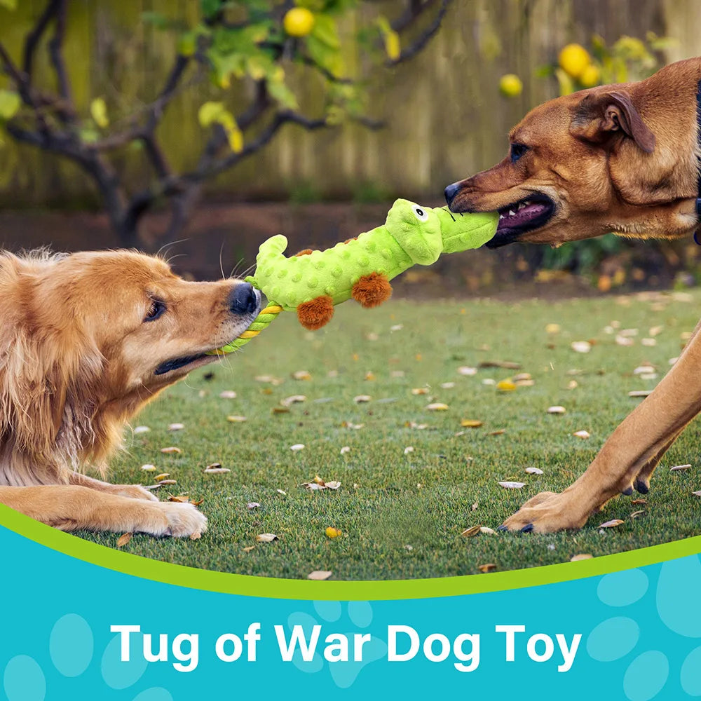 Small Dog Squeaky Toy, 2 Pack, Tug of War Dog Toys for Dogs Interactive Plush Puppy Chew Toy Plush Sound Squeak Toys Pet Supplies