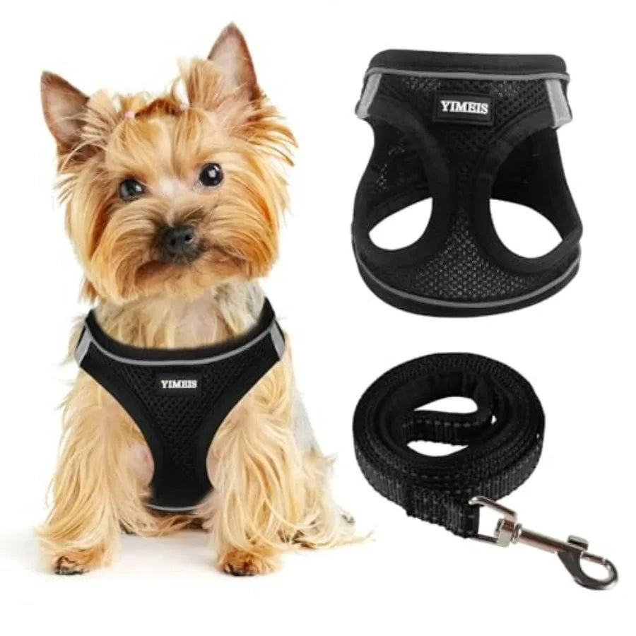 Dog Harness for Small Dogs and Leash Set, Honeycomb Grid, Reflective Lightweight Harness and Anti-Twist Pet Lead Multi Color