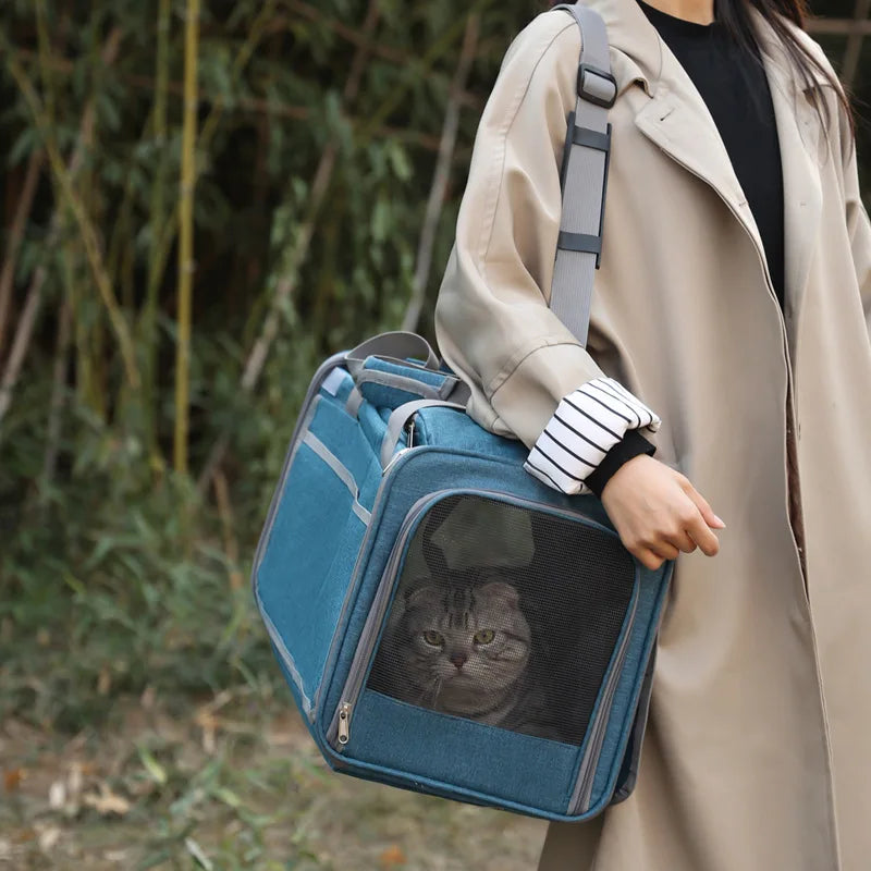 Portable Expandable Small Dog Travel Bag Soft-Sided Transparent Breathable Lightweight Handheld or Crossbody Outdoor Pet Bag Stylish