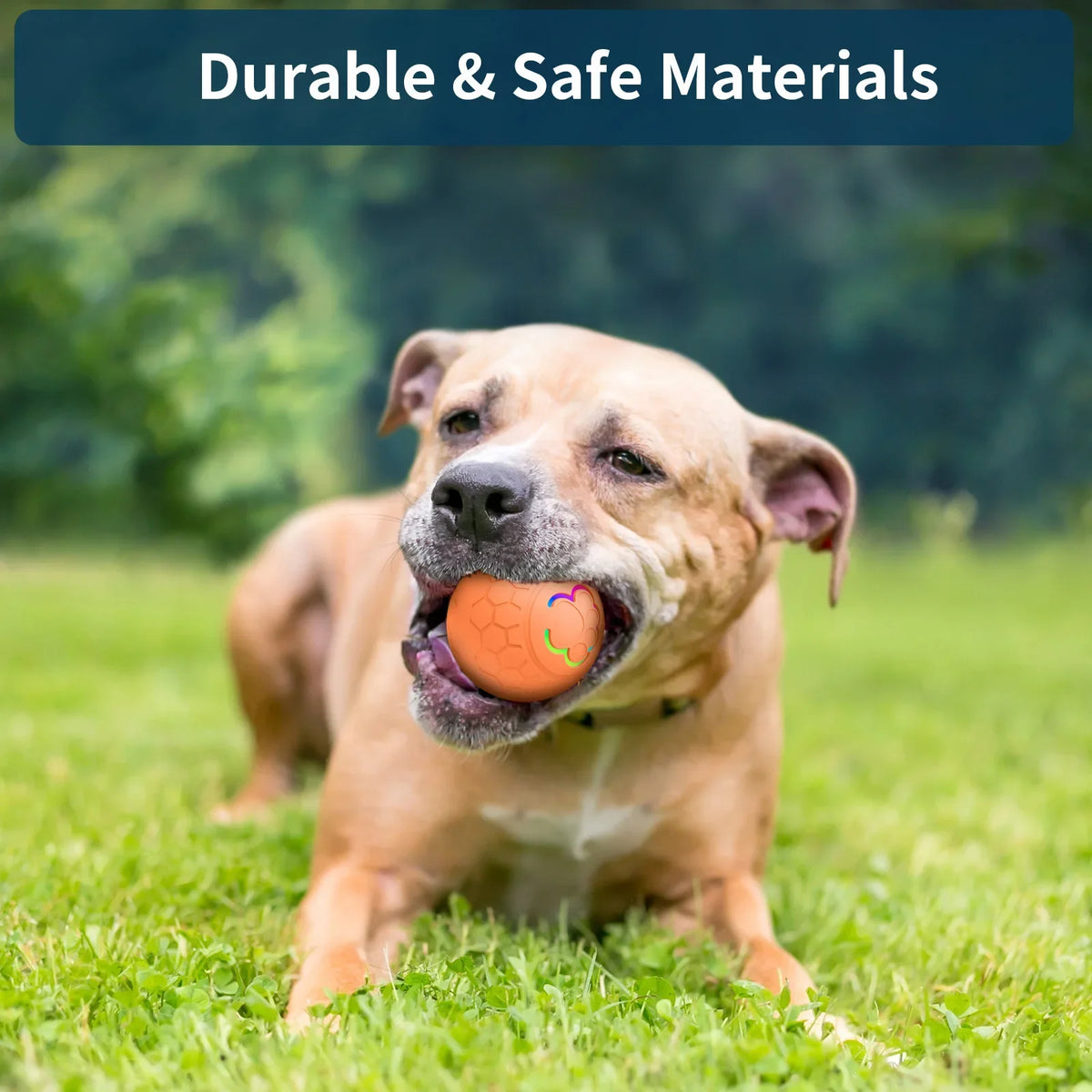 Smart Interactive Dog Toy Ball Electronic Pet Toy Ball Automatic Bouncing Rolling Toy Ball With Lights Puppy Product