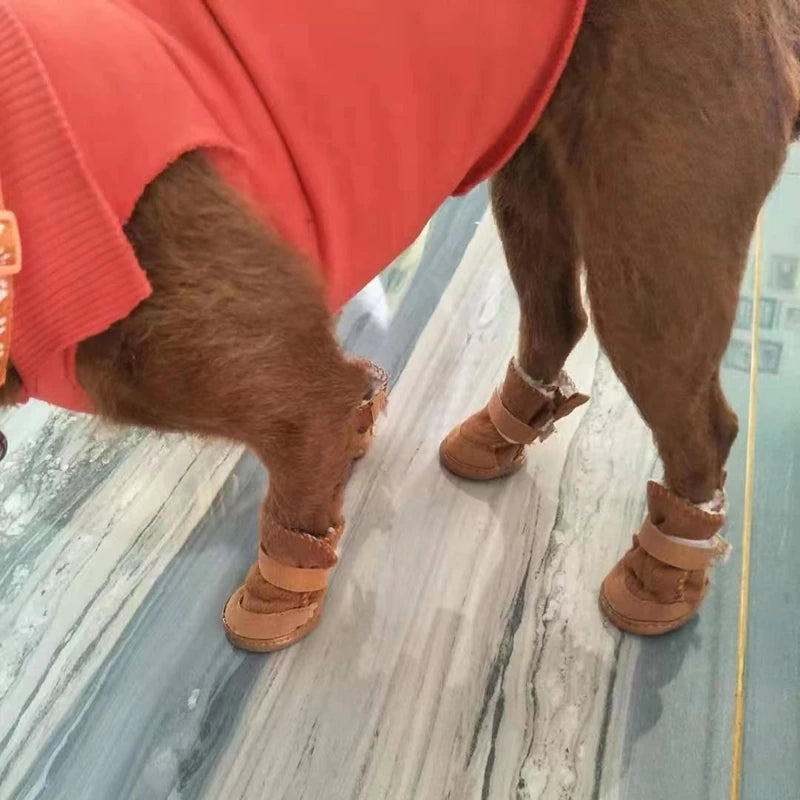 Small Dog Shoes 4pcs Thick Warm Rain Snow Carton Boots Walking Puppy Sneakers Dog Accessories