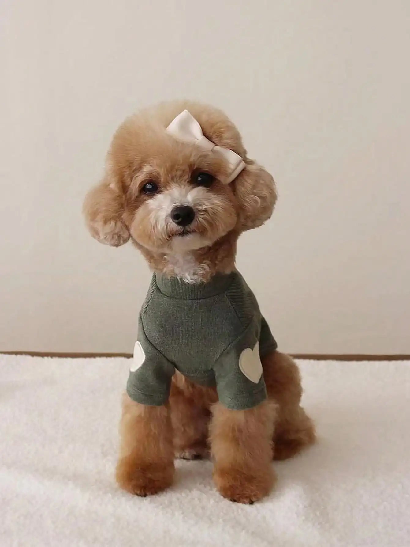 Soft Fleece Pet Hoodie with Heart Patch Design for Small Dogs