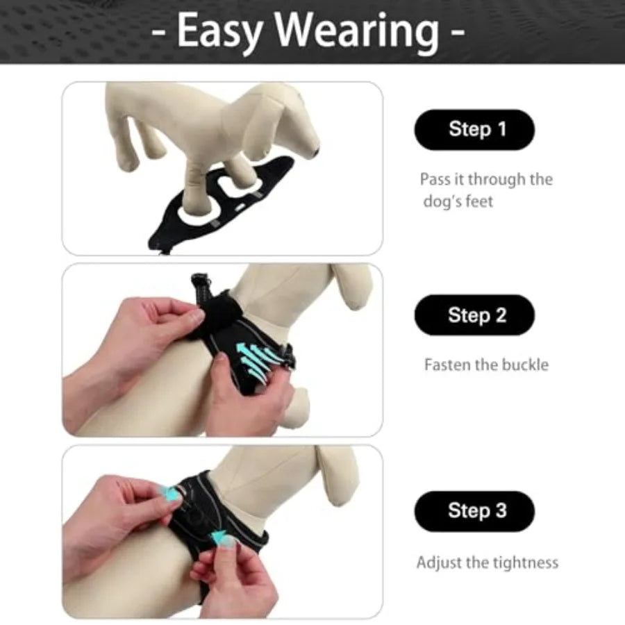 Dog Harness for Small Dogs and Leash Set, Honeycomb Grid, Reflective Lightweight Harness and Anti-Twist Pet Lead Multi Color