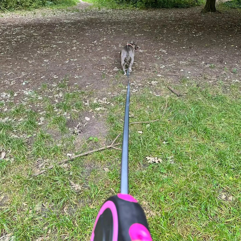 Dog Leash Retractable 8m Pet Extendable Strap Outdoor Training Puppy Traction Belt For Small Dogs Pug Product