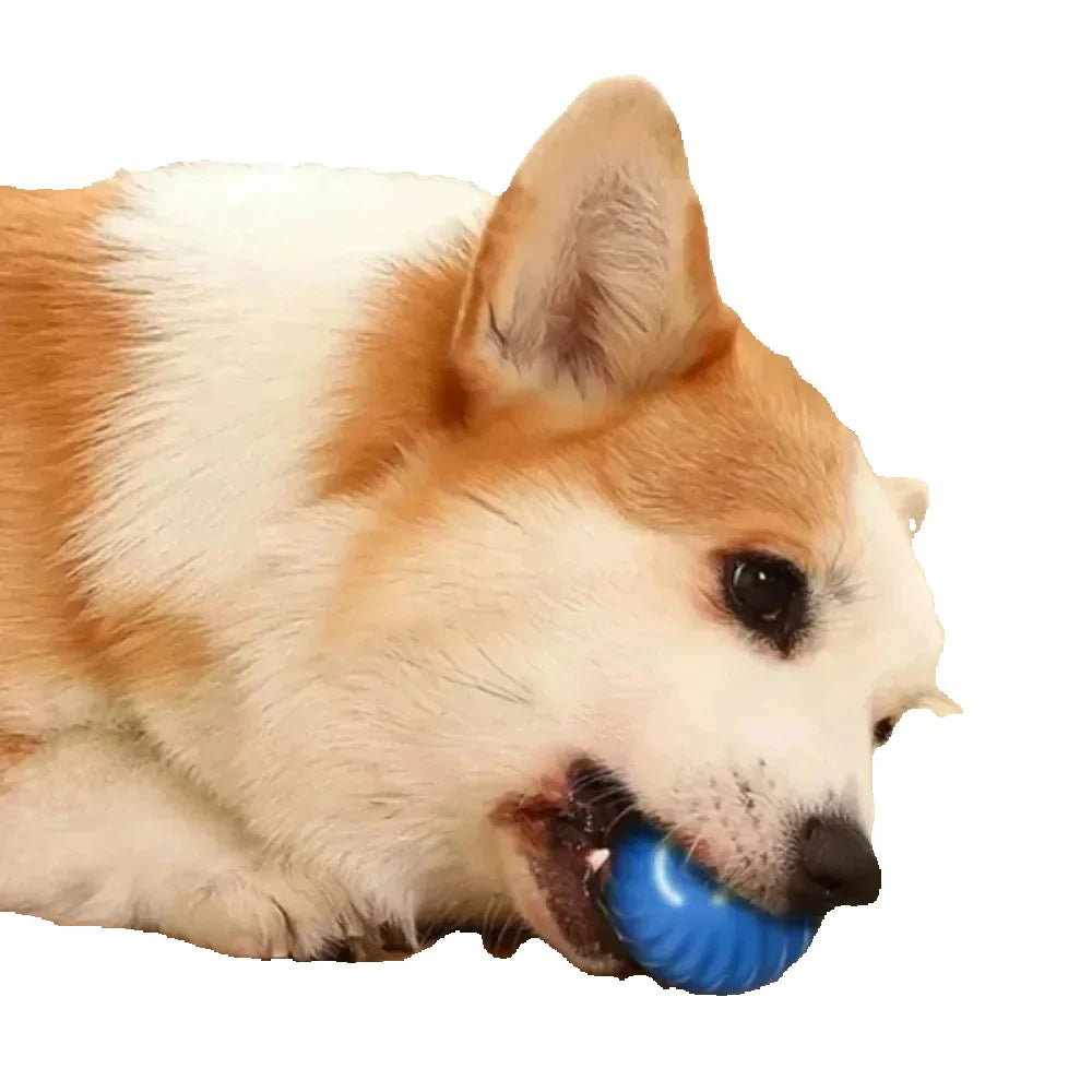 Automatic Moving Dog Toy Ball Yellow USB Rechargeable Smart Interactive Bouncing & Rolling Chew Toy for Small Dogs