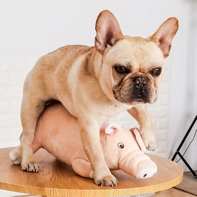 Plush Pig Soothing Sleeping Toys for Small Dogs French Bulldog Bite Molar Venting Supplies Puppy Dog Playing Toy
