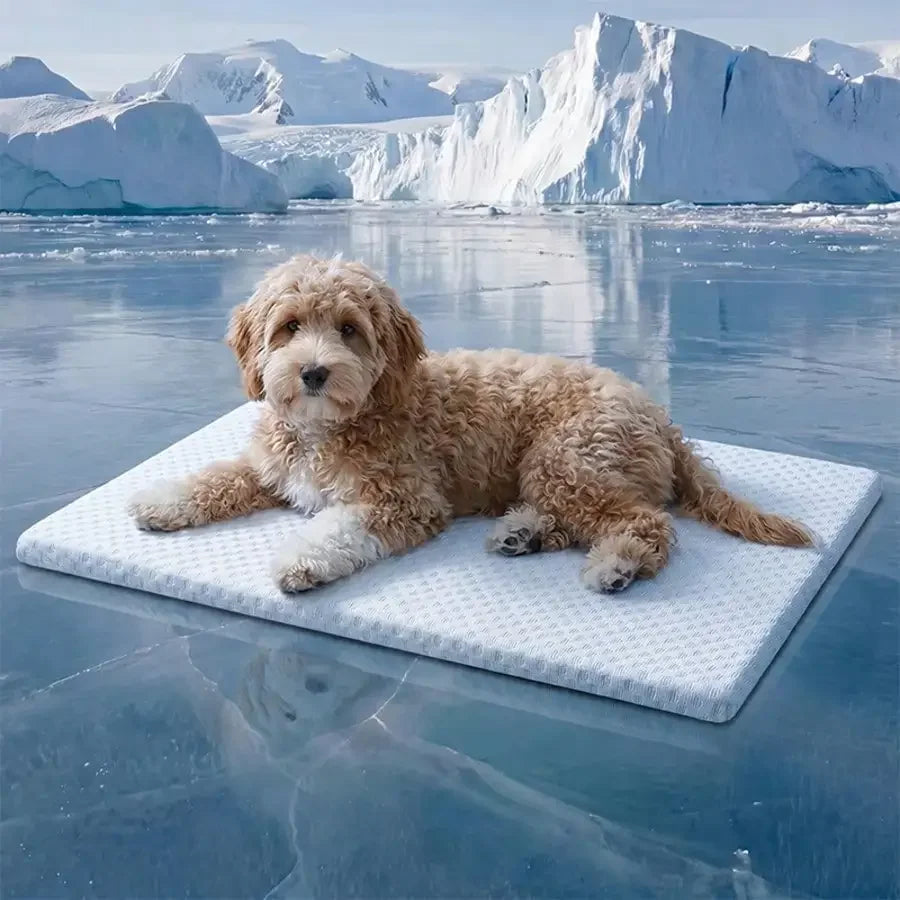 Sponge Cooling Dog Bed, Thick Padding Comfortable Cool Breathable Dog Nest, Non-Slip And Washable Cooling Small Dog Bed, Suitable For All Seasons