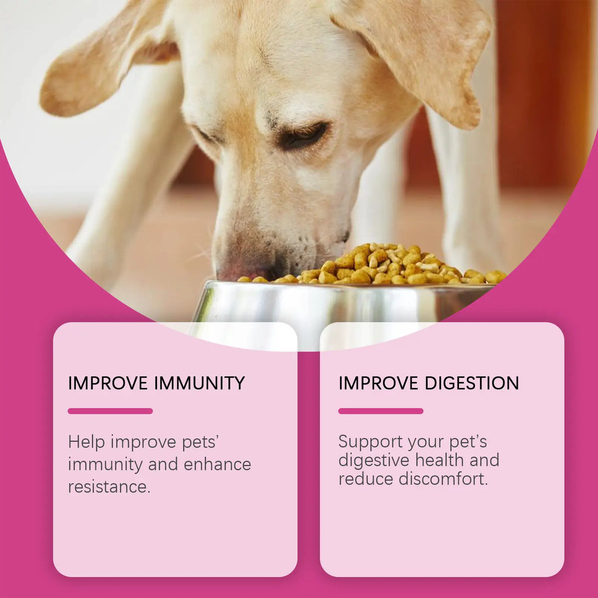 Pet Probiotic Chewable Tablets for Dogs Digestive Health Gut Flora Immune Support Diarrhea Relief Prebiotics Digestive Enzymes Chicken Flavor Daily Supplement for Puppy Sensitive Stomach Safe Natural Effective