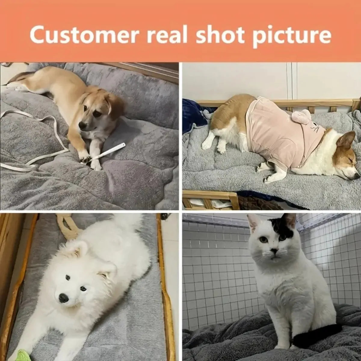 All Season Thickened Plush Dog Bed - Spacious Anti-Slip Pet Sofa for Small and Medium Dogs - Super Soft Washable Polyester