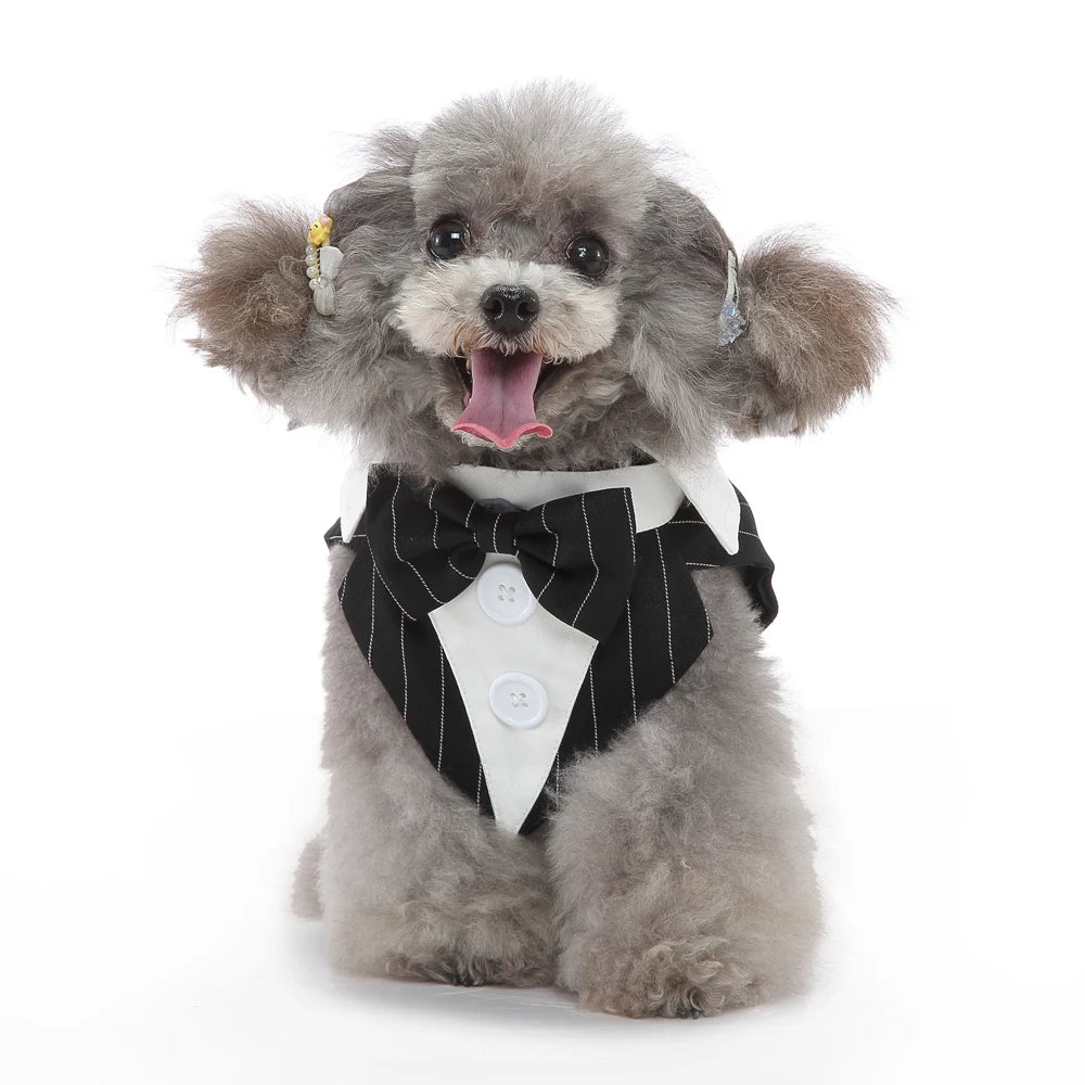 Dog Costume For Small Dogs and Medium Dogs Halloween Apparel Dog Wedding Outfit Clothes Wedding Shirt Clothes Formal Tuxedo
