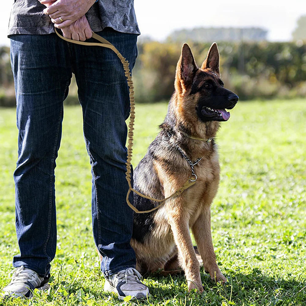 Training and Walking Dog Leashes For Small Medium and Large Dogs, Adjustable Leash Quick Release Elastic Rope With 2 Control Handles