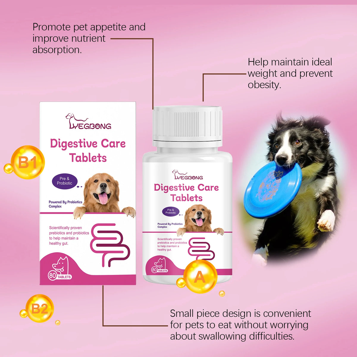 Pet Probiotic Chewable Tablets for Dogs Digestive Health Gut Flora Immune Support Diarrhea Relief Prebiotics Digestive Enzymes Chicken Flavor Daily Supplement for Puppy Sensitive Stomach Safe Natural Effective