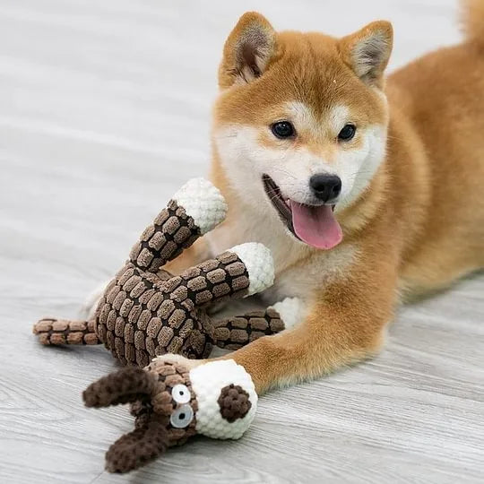 Plush Squeaky Puppy Chew Toys Teething Training Dog Toys for Small Dogs Cute Donkey or Bunny Designs