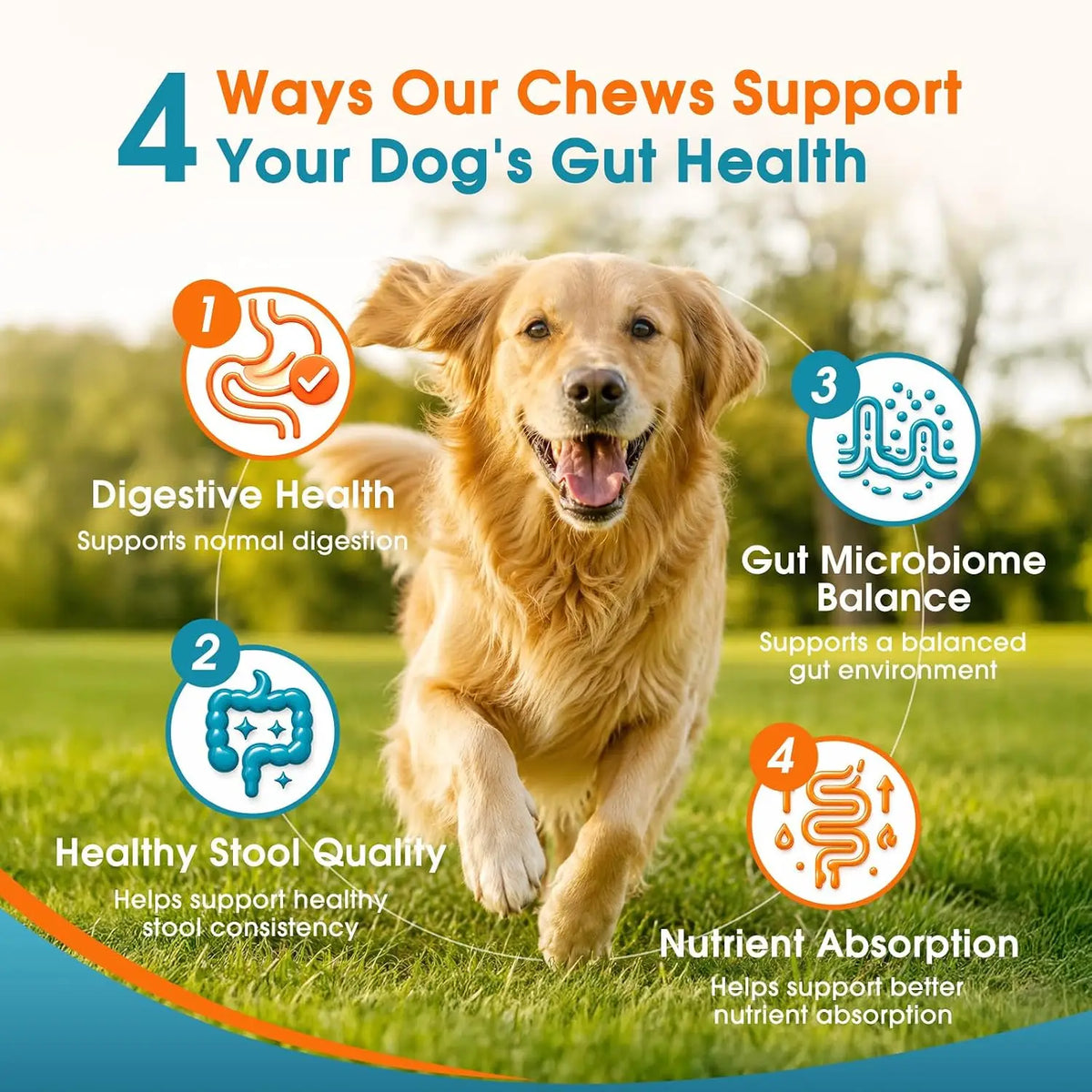 Soft Chews 120 Count Probiotics for Dogs Digestion & Stool Support – Bacillus Coagulans + FOS Prebiotics + Digestive Enzymes Formula