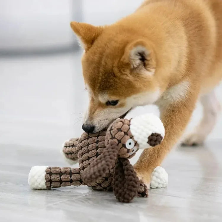 Plush Squeaky Puppy Chew Toys Teething Training Dog Toys for Small Dogs Cute Donkey or Bunny Designs